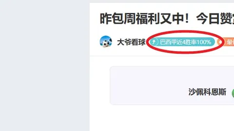 暑期欢乐羽毛球营，邀君共展翅飞翔！